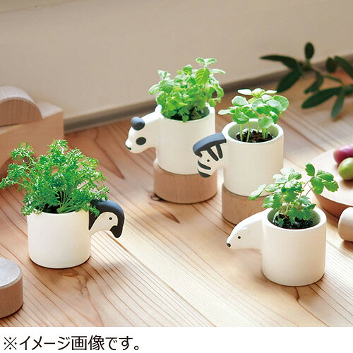 ハンズ(HANDS)楽天市場店の聖新陶芸　モノクロアニマル　カモミール　GD1007‐04｜アングル2