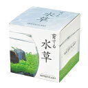 聖新陶芸 育てる水草 S GD812
