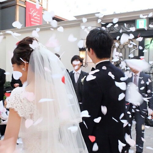 �ϥ��ǥ饤�ȡ��ڡ��ѡ�����ե��ƥ�����������3003