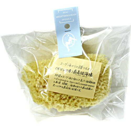 天然の海面スポンジを検索!