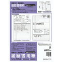 コクヨ(KOKUYO) 履歴書用紙(大型封筒付・性別欄なし) A4 シン-5DJ