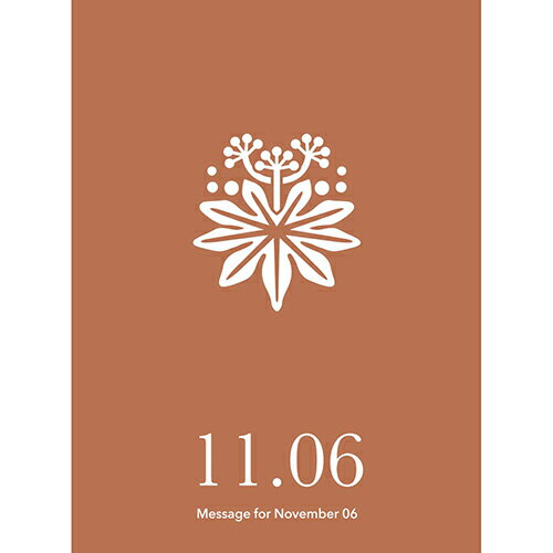 草紙堂　花結びメッセージカード　11月6日