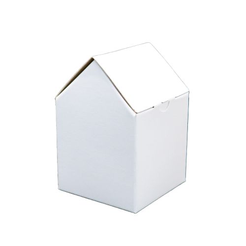 ڥꥹޥۡࡡϥBOX100TB0262