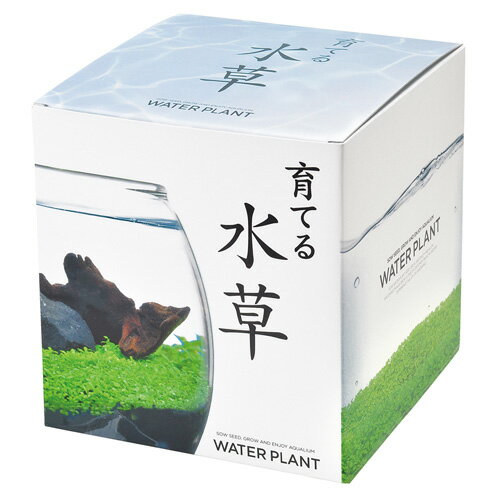 聖新陶芸　育てる水草　L　GD813