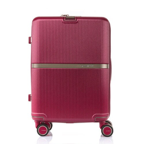 サムソナイト（Samsonite)　MINTER　ス