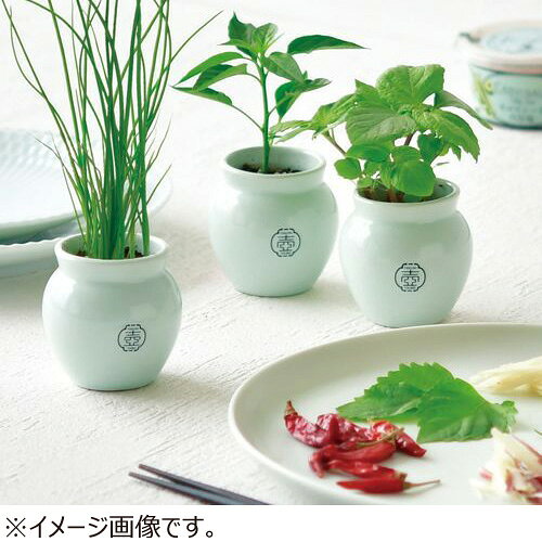 聖新陶芸　TSUBO　しそ　GD998‐1