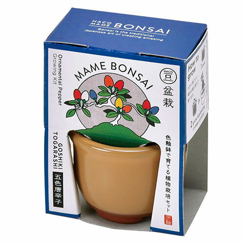 聖新陶芸 HACOMAME盆栽栽培セット GD965‐4 五色とうがらし