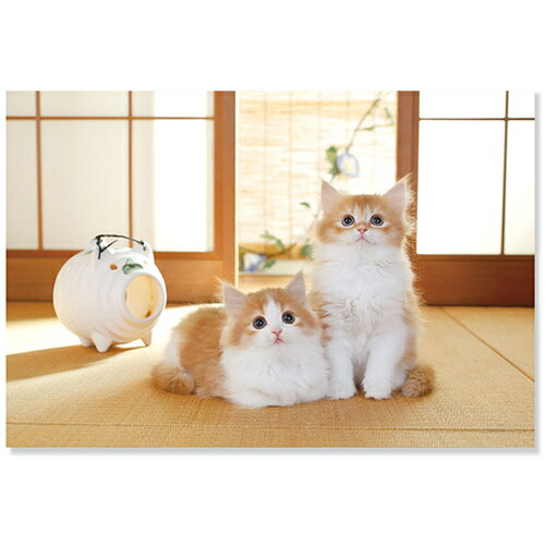 アクティブコーポレーション　夏柄ネコポストカード　PB−546s　ねこと蚊取り線香