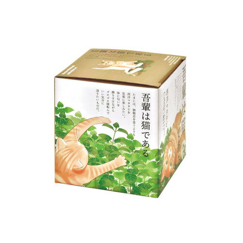 聖新陶芸　西洋マタタビ栽培キット　GD1027