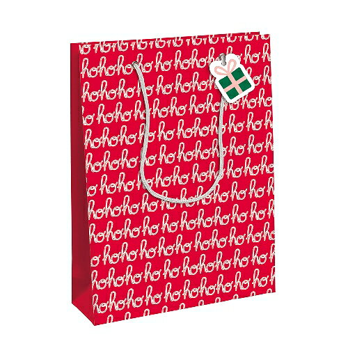 【クリスマス】 クレールフォンテーヌ(Clairefontaine) ペーパーバッグ ホーホーホー M