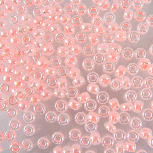 �ߥ業���ݾ��ӡ������������ӡ�����3g��No.517