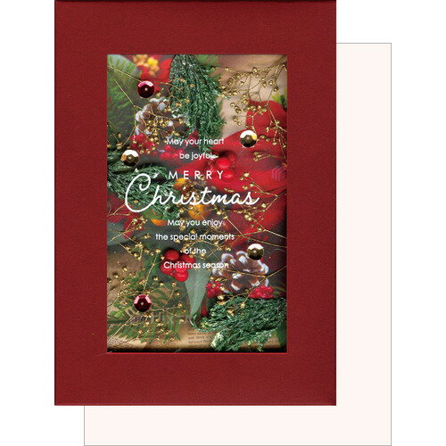 【クリスマス】 アートプリントジャパン ハーバリウムカード レッド