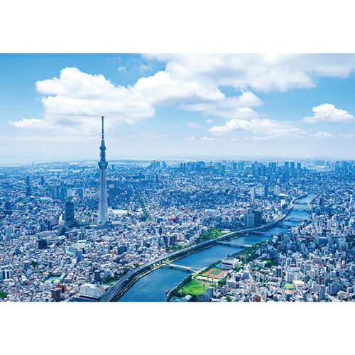 エヌ・ビー・シー　上空から見た東京スカイツリー　東京−148