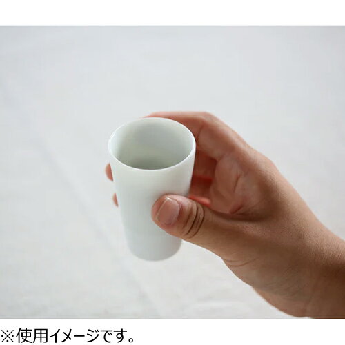 カネコ小兵　一献盃　ストレート　ミニ　556072　　透明白