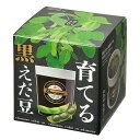 聖新陶芸 育てる黒えだ豆栽培キット GD995