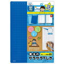 レイメイ藤井 魔法のザラザラ下じき(0.3mmドット) B5 U783A ブルー(3)