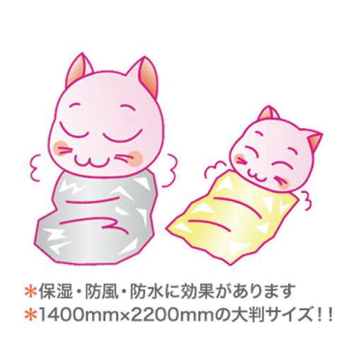 サンプル画像2