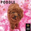 【2026年版・壁掛】 ピクトワン(PICTWAN) プードル L版 L020