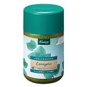 クナイプ(Kneipp) バスソルト ユーカリ 850g