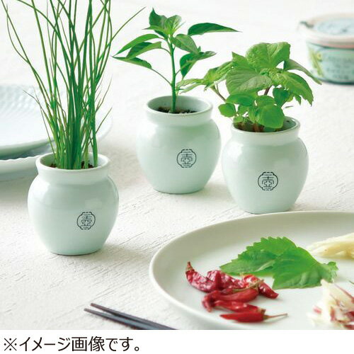 聖新陶芸　TSUBO　ねぎ　GD998‐3