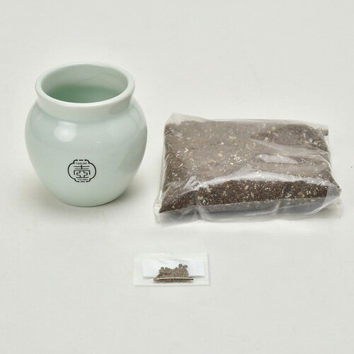 聖新陶芸　TSUBO　ねぎ　GD998‐3