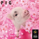 【2026年版・壁掛】 ピクトワン(PICTWAN) ピッグ L版 L031