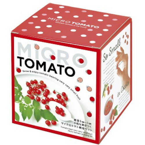 聖新陶芸　マイクロトマト栽培セット　GD903│園芸用品　ミニ盆栽・栽培セットのサムネイル