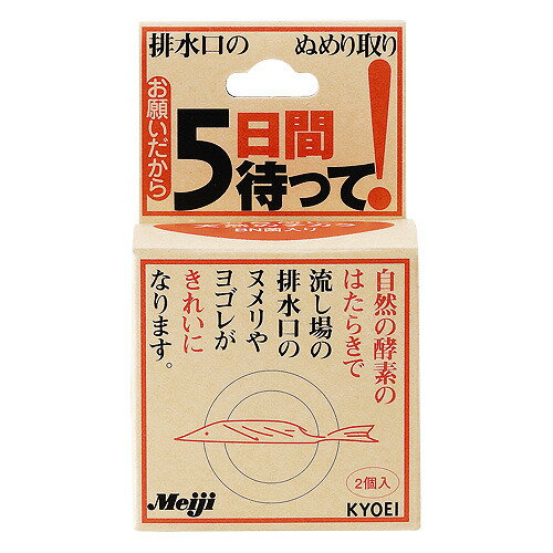 お願いだから5日間待って│台所洗剤　排水管清掃用品のサムネイル