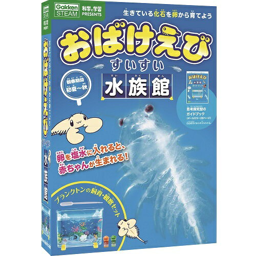 学研（Gakken）　科学と学習PRESENTS　おばけえびすいすい水族館　J750683│実験用品のサムネイル