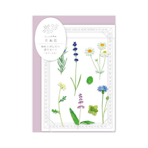 リュリュ　草木花　多目的カード　SMTC−04　ハーブ