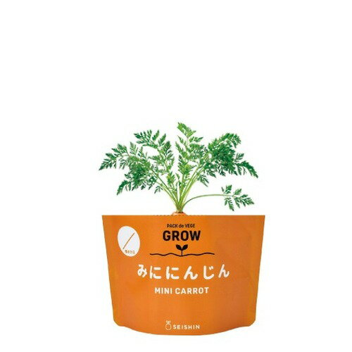 聖新陶芸　野菜栽培キット　ベジパック　GD1058-2　ミニキャロット