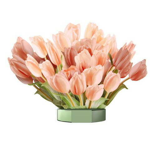 ホールマーク（Hallmark） ビルド・ア・ブーケ 843885 チューリップ
