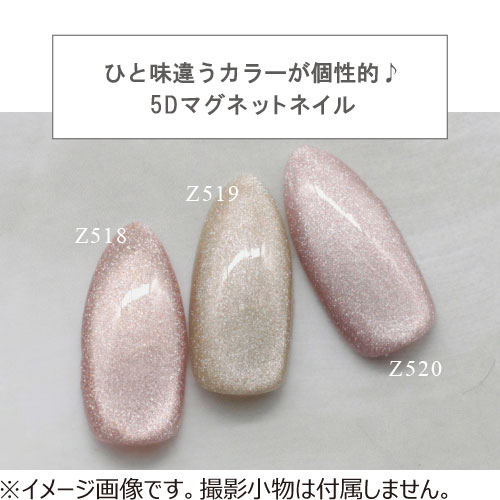 エムプティジャパン　エムジェル（MpetitJapan　M・GEL）　マグネットネイル　Z518　5g