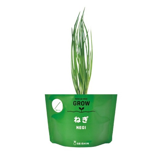 聖新陶芸　野菜栽培キット　ベジパック　GD1058-3　ネギ