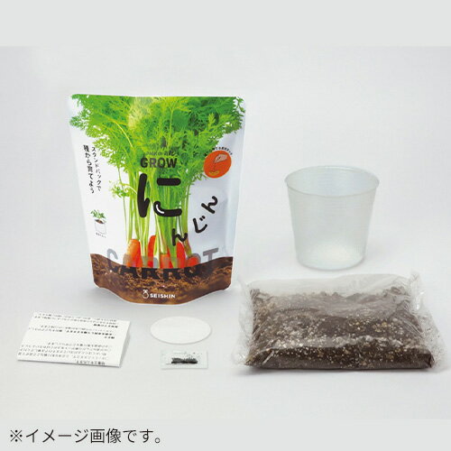聖新陶芸　野菜栽培キット　ベジパック　GD1058-3　ネギ