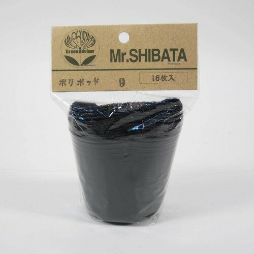 �ӥˡ���ݥåȡ�9cm