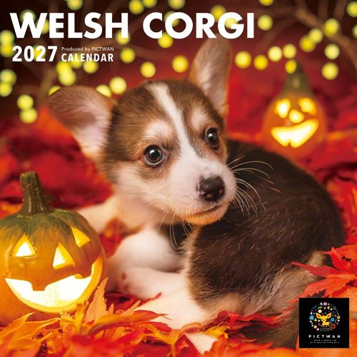 詳細説明【特長】・カラフルな花や植物に囲まれた、ウェルシュ・コーギーの子犬のキュートな表情をクローズアップしたカレンダーです。・写真はすべて専属フォトグラファーによる新作で、インパクトのあるビジュアル犬種シリーズになっています。・コンパクトなS判サイズなので、玄関やキッチンなどのちょっとしたスペースにも飾ることができます。・かわいい子犬のフォトシールと、カレンダーに貼れるスケジュールシールがセットになった、オリジナルシールも付いています。・2026年9月〜2027年12月までの16ヵ月掲載しています。&nbsp;商品仕様（スペック）サイズ（約）：［本体］縦170×横170mm　［使用時］縦340×横170mmページ数：28ページ重量（約）：83g製本仕様：中綴じ付属品：オリジナルシール(160×160mm)注意事項日本の祝日や行事が表記されています。&nbsp;愛くるしい子犬たちのミニカレンダー