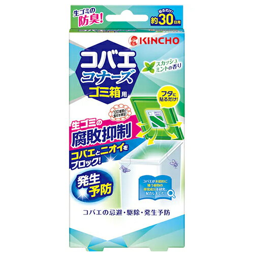 ڤ㤤ۡ硼KINCHOˡХʡȢѡåߥȤι
