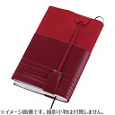 ジェコル(JECOL) アマネカ・ネオN フリーサイズ AM-N6-RD レッド