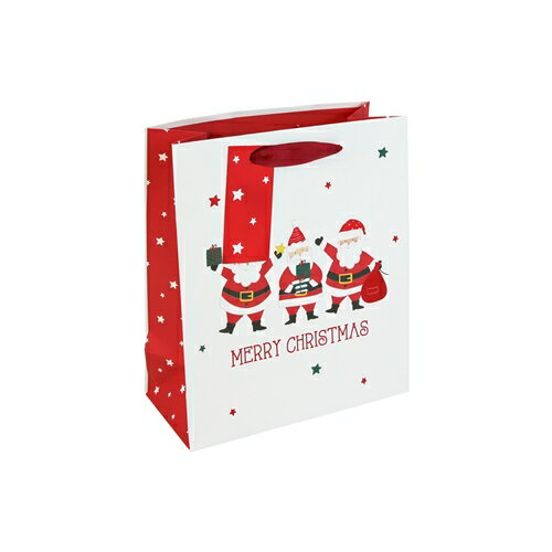 【クリスマス】 クレールフォンテーヌ(Clairefontaine) ペーパーバッグ 3サンタ S