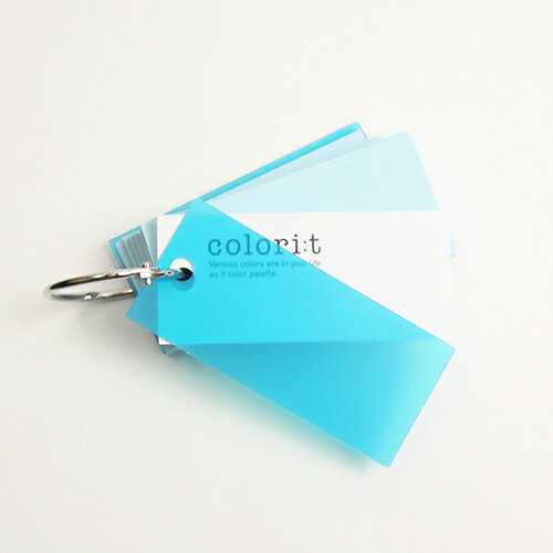 ����꡼�ȡ�ñ�쥫���ɡ��֥롼��IACR��T��05