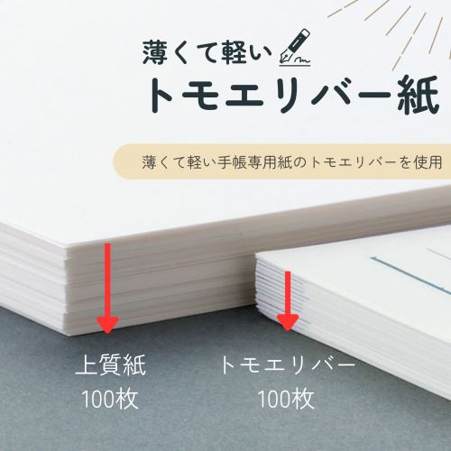 【2024年12月始まり】レイメイ藤井　ダ・ヴィンチ（Davinci）　聖書デイリー（1日1ページ）　DR2529 3