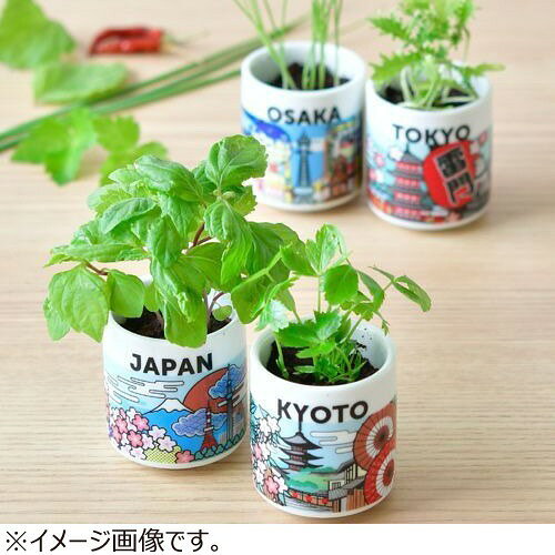 ハンズ(HANDS)楽天市場店の聖新陶芸　お芽でたおちょこJAPAN　GD997−9　広島/レモンバーム｜アングル2