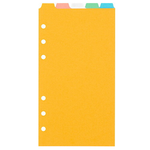 アシュフォード（ASHFORD） カラーインデックス ライトカラー トップ5段 バイブル 0382-100