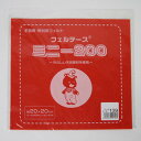 フェルト ミニー 20cm角 139