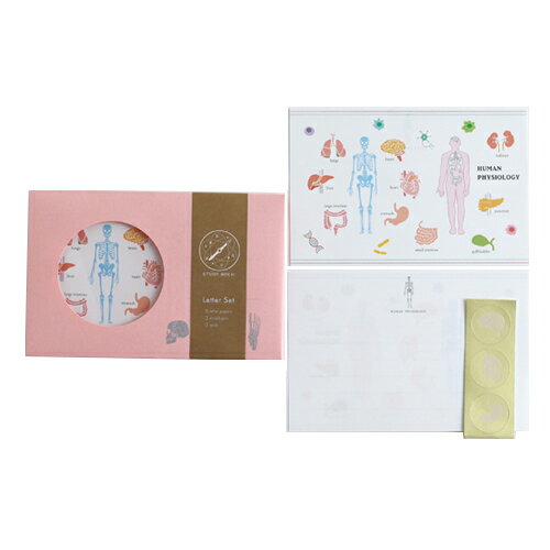 グリーンフラッシュ（GreenFlash）　STUDY　HOLIC　レターセット　ST−262　人類生物学