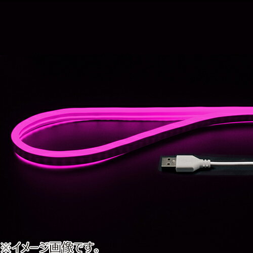 ���ܥȥ饹�ȥƥ��Υ�������USB�ͥ�����塼�֥饤�ȡ�2m��NEONLT2M��PK���ԥ�