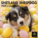 【2026年版・壁掛】 ピクトワン(PICTWAN) シェットランド・シープドッグ S版 S042