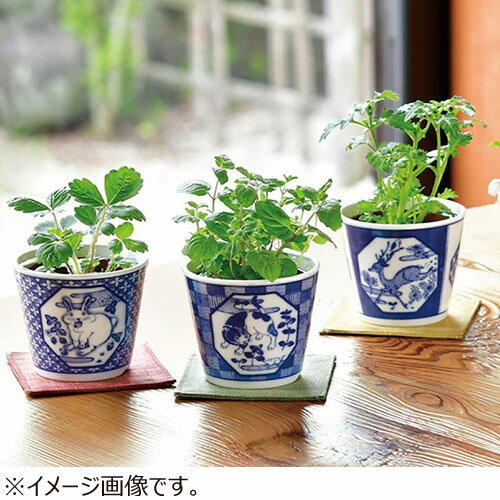 聖新陶芸　染付小紋草加BONSAI　ねこ／ミント　GD1022‐2