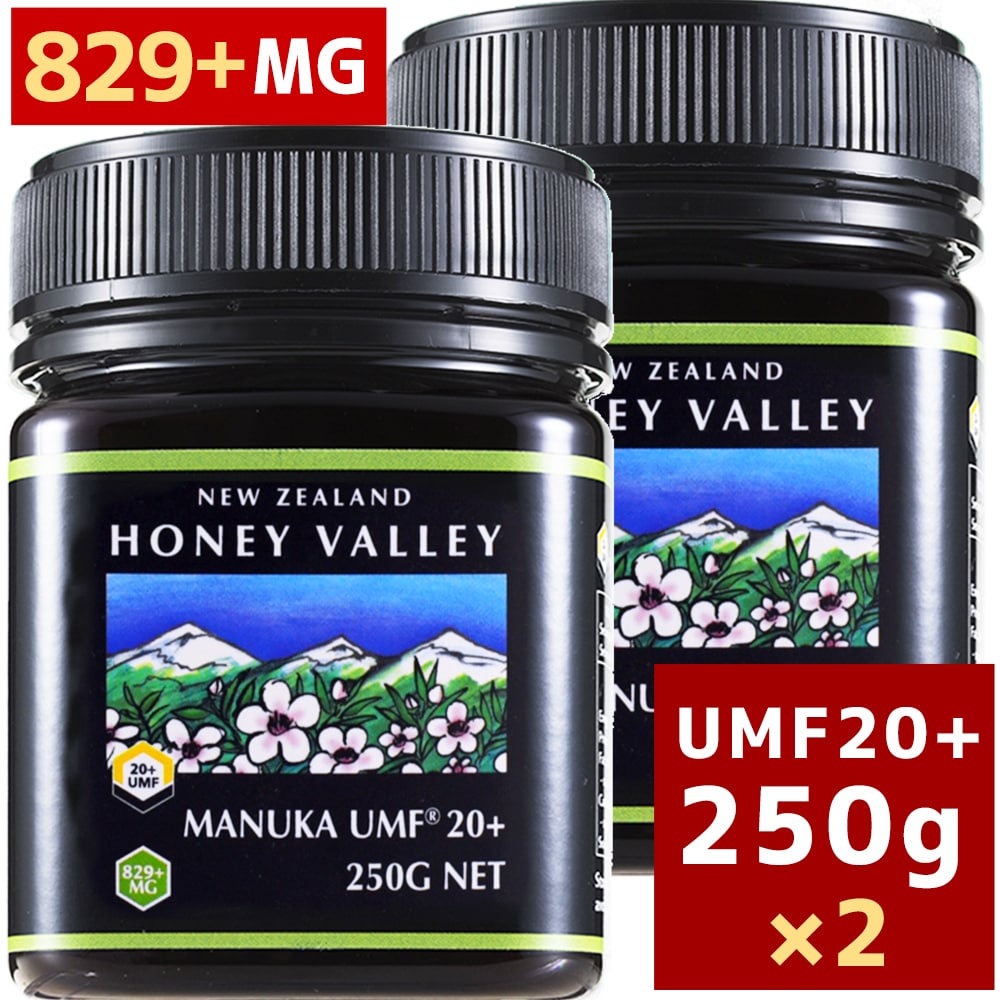[4月中旬から順次出荷予定][マヌカハニー][アクティブ マヌカハニー　UMF 20+ 250g MGO829以上]★2個セット 天然蜂蜜 はちみつ[HLS_DU][RCP]